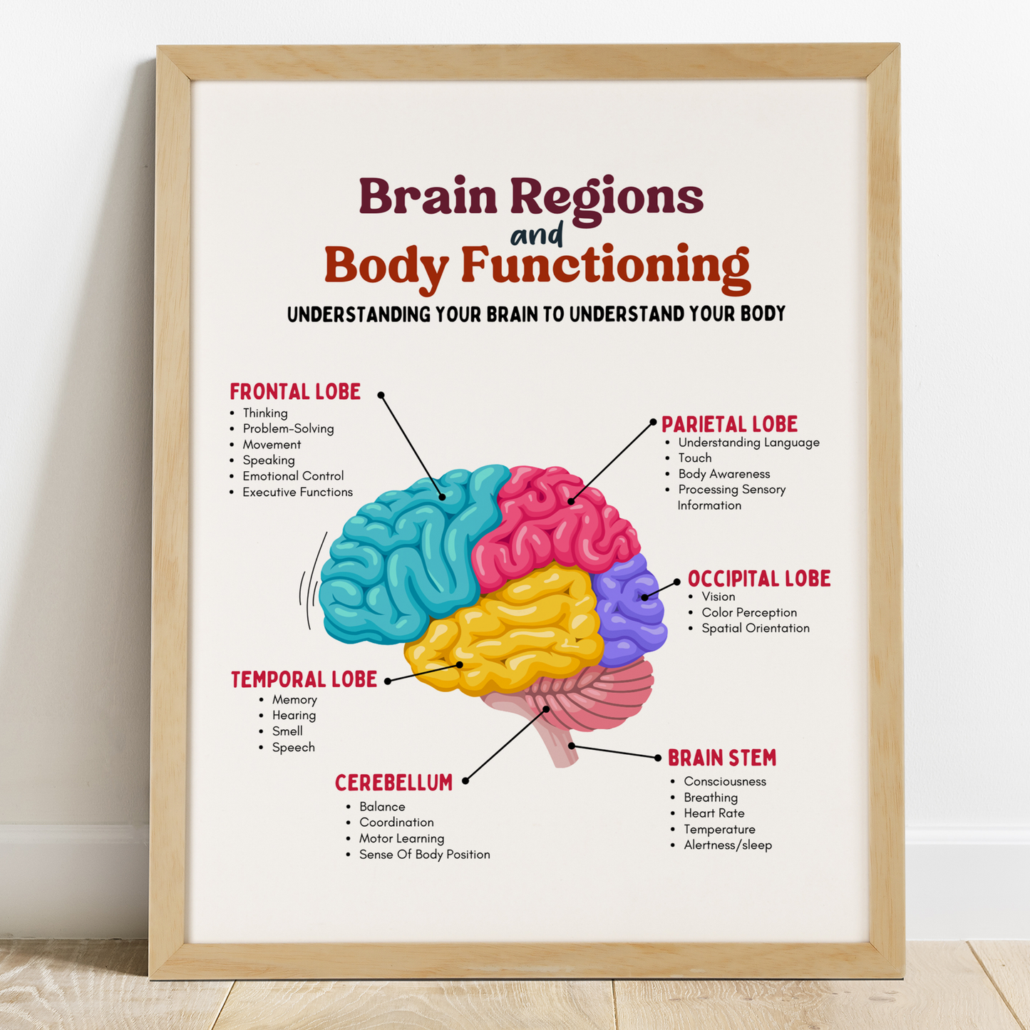 Brain Regions and Body Functions