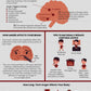 How Anger Affects the Brain and Body pdf handout