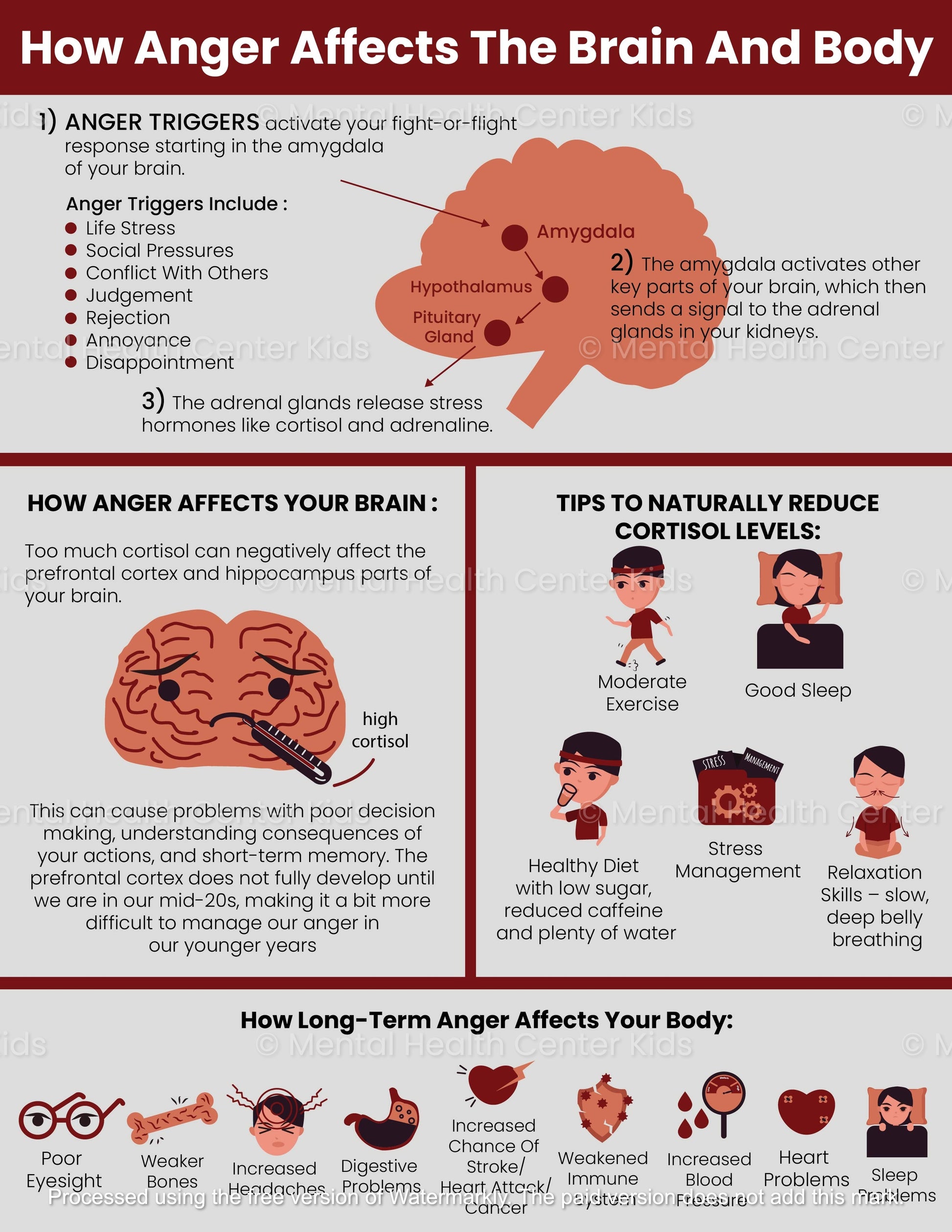 How Anger Affects the Brain and Body pdf handout