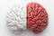 How is the ADHD Brain Different from the Normal Brain?
