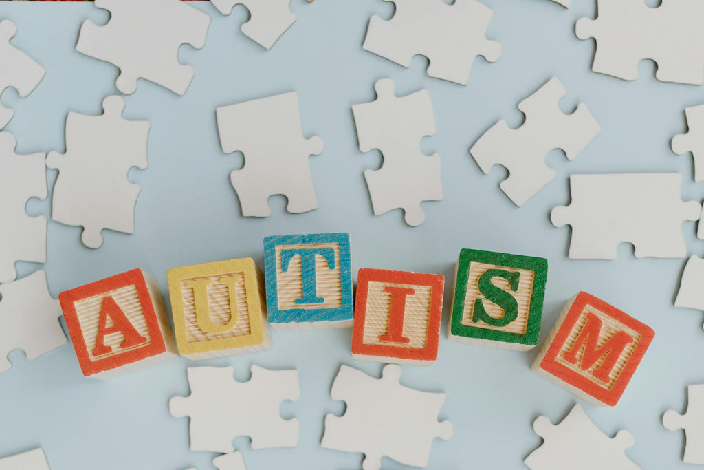 fidget toys for autism