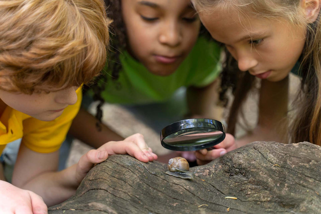 Exploring Child Research on Adventurous Play and Child Mental Health – Mental Health ...