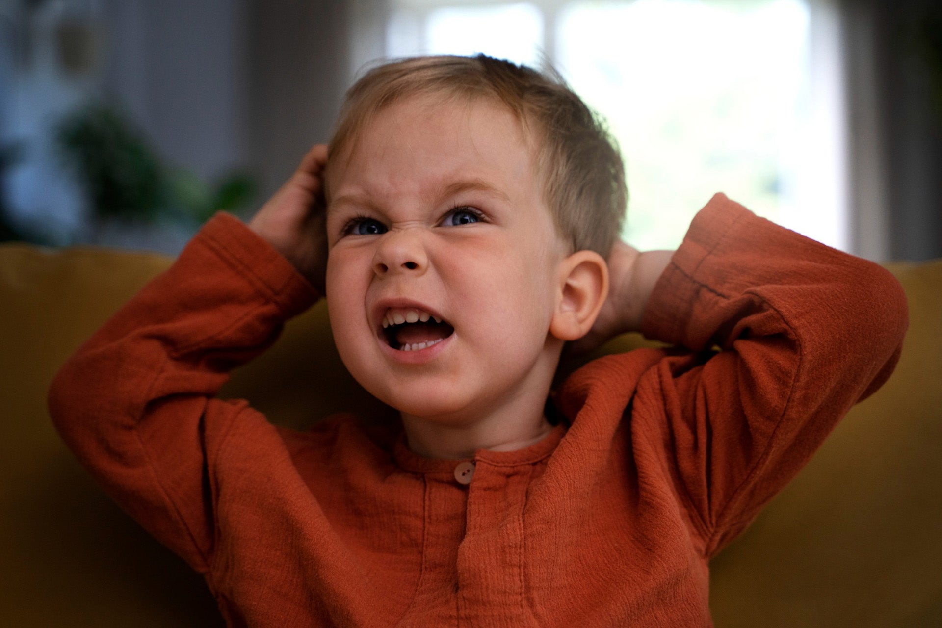 Toddler Toddler Aggression: When to Worry and How to Handle It – Mental Health Center Kids