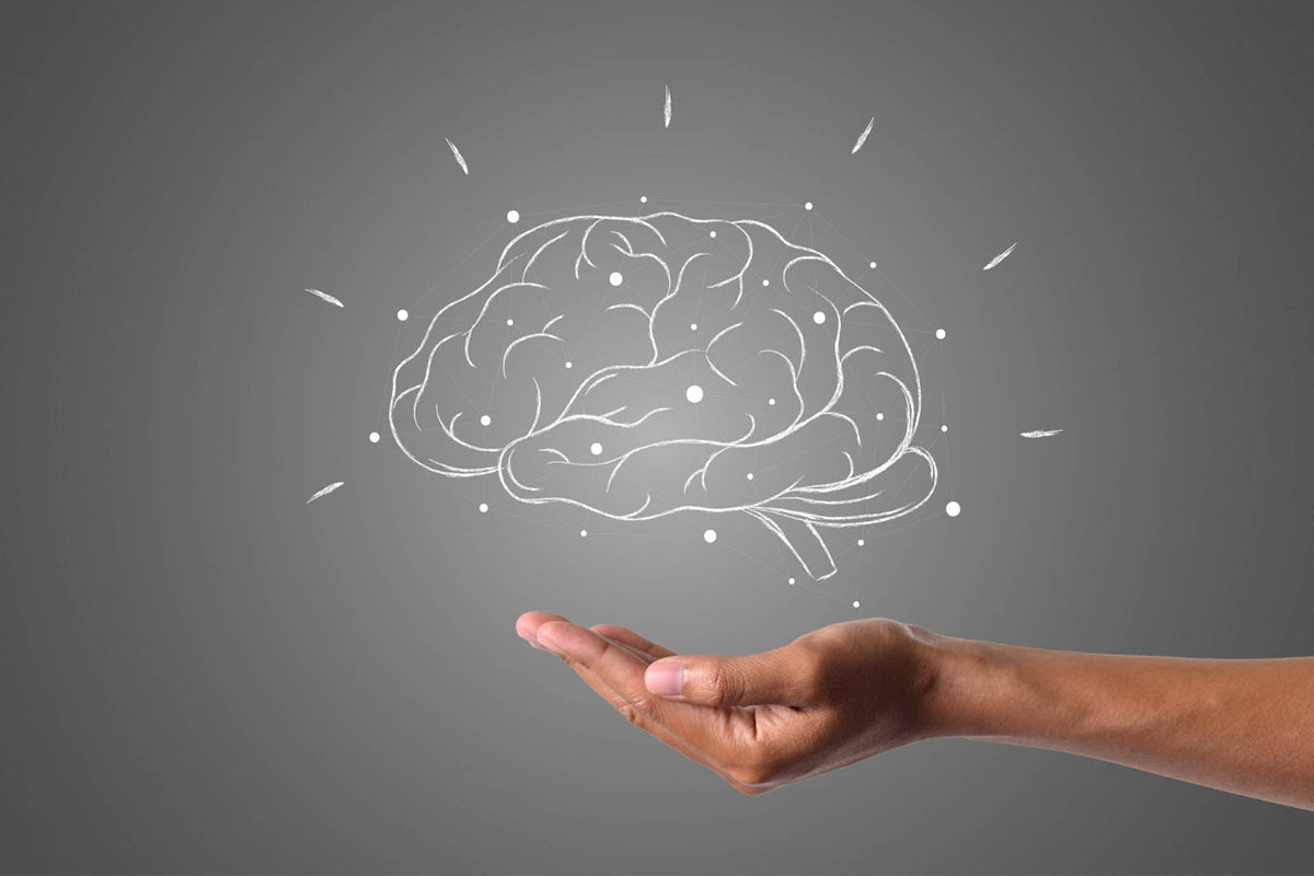 Research on Childhood Trauma and Affect on Frontal Gray Matter of Brai ...