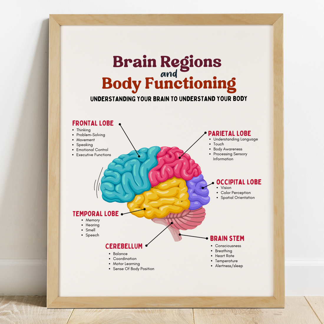 Brain Regions and Body Functions – Mental Health Center Kids