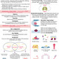 DBT Mindfulness Skills