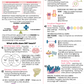 DBT Skills Introduction