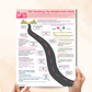 Middle Path Pdf DBT Walking the Middle Path Skills (PDF) – Mental Health Center Kids