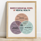 Biopsychosocial Model OF Mental Health