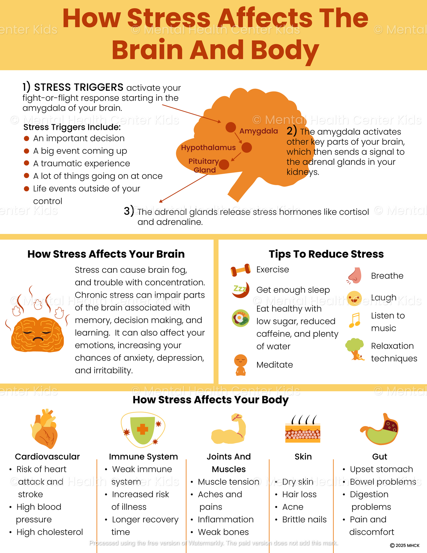 How Stress Affects The Brain And Body Handout