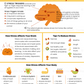 how stress affects the brain and body handout
