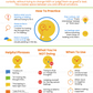 mindful observation pdf