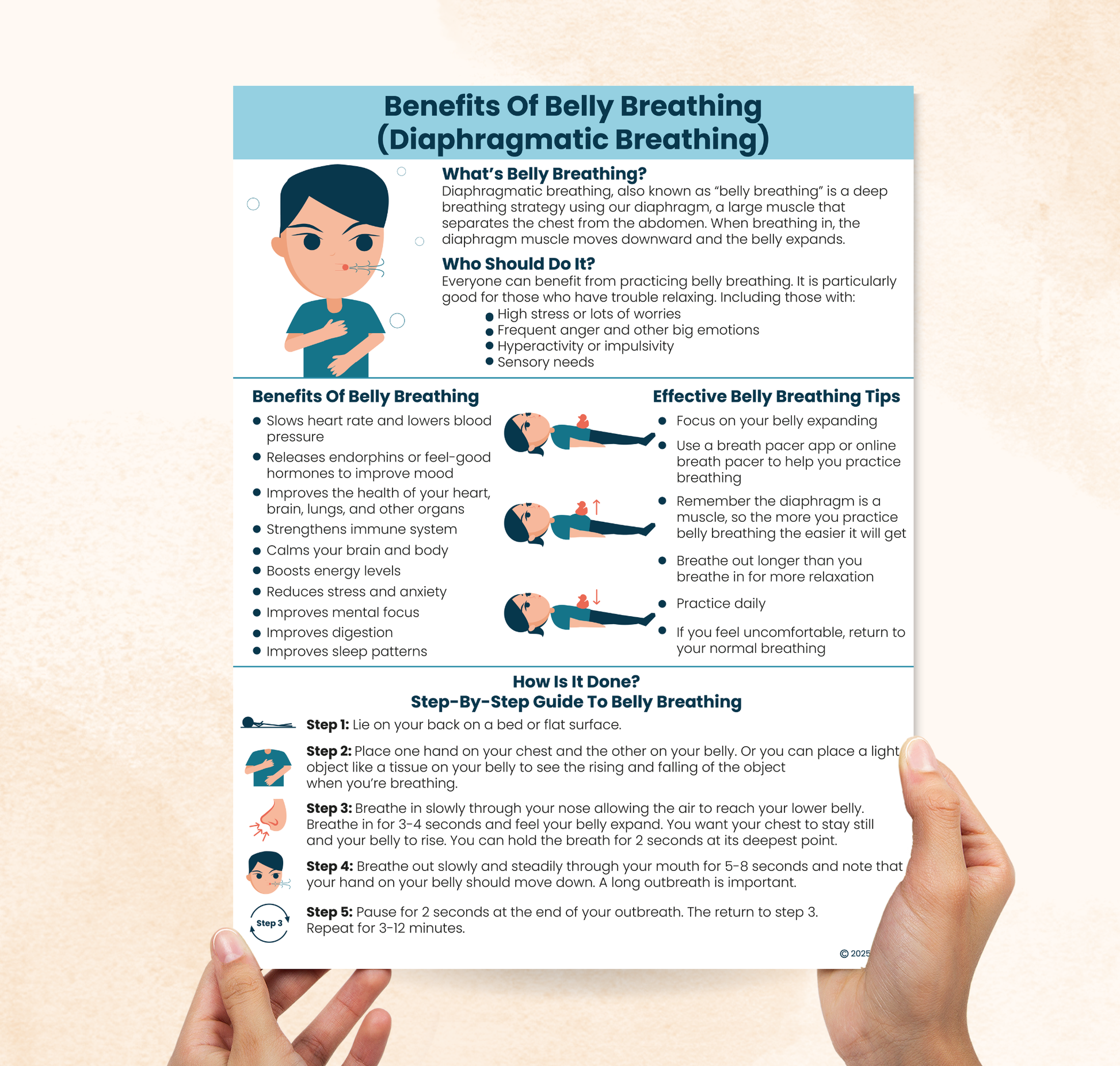 Benefits of Belly Breathing