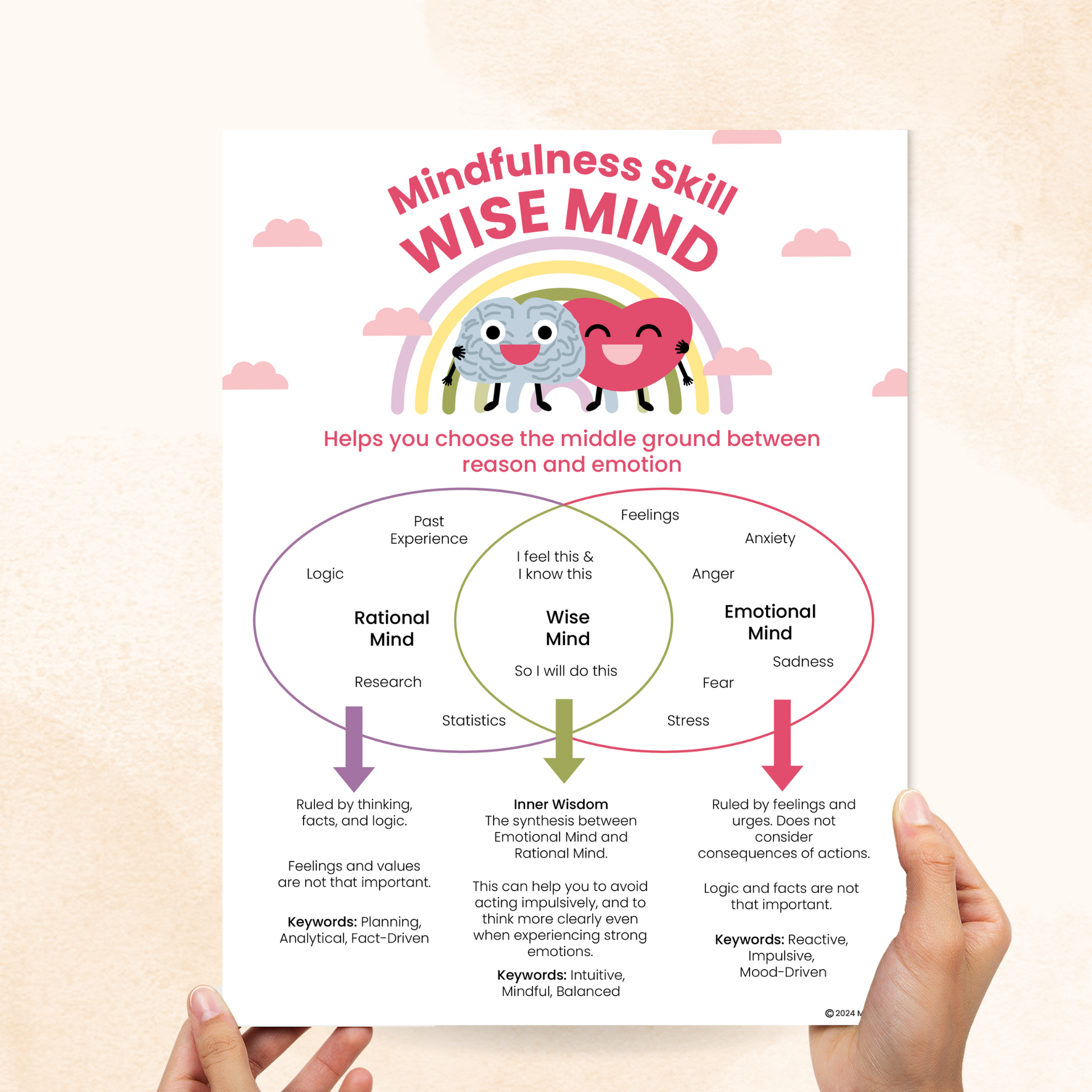 wise mind dbt pdf