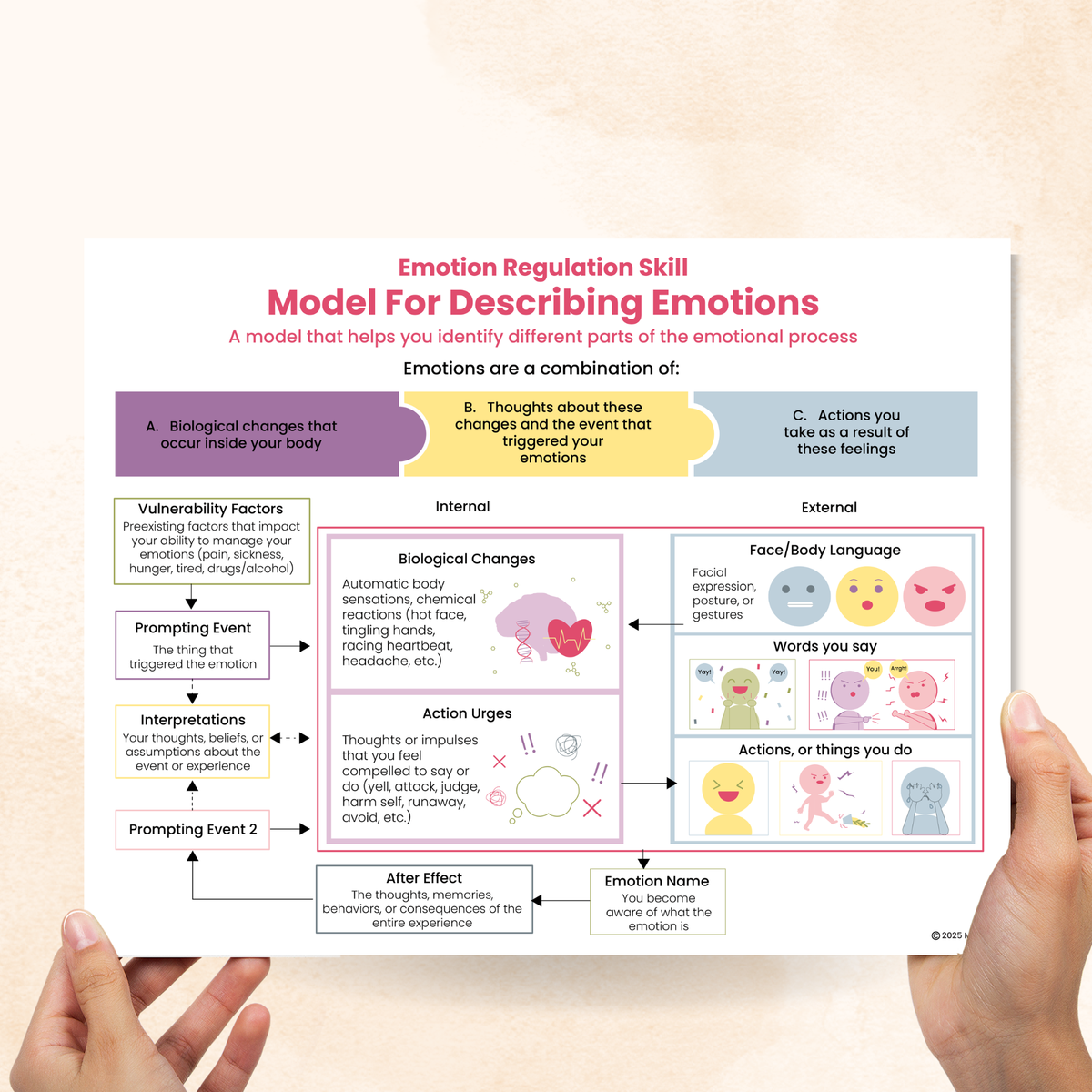 DBT Model Of Emotions (PDF) – Mental Health Center Kids