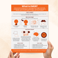 What Is EMDR Therapy Handout