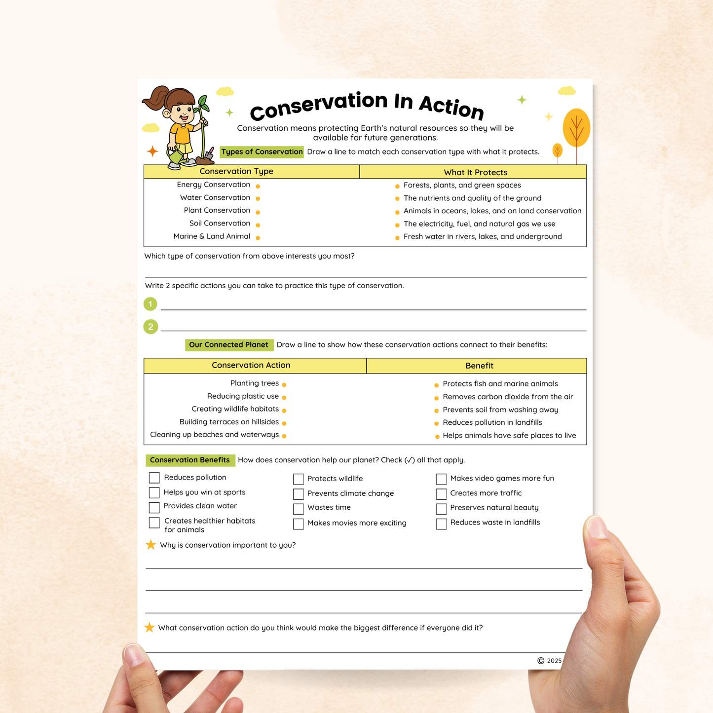 conservation worksheets for elementary