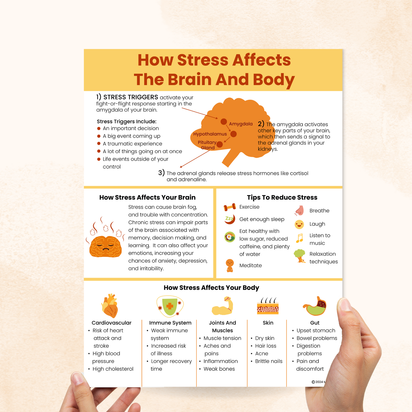 how stress affects the brain and body