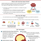 what is cognitive behavioral therapy cbt handout