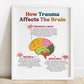 How Trauma Affects The Brain Poster