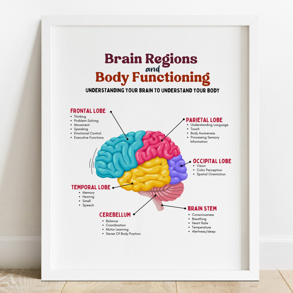 Brain Regions and Body Functions
