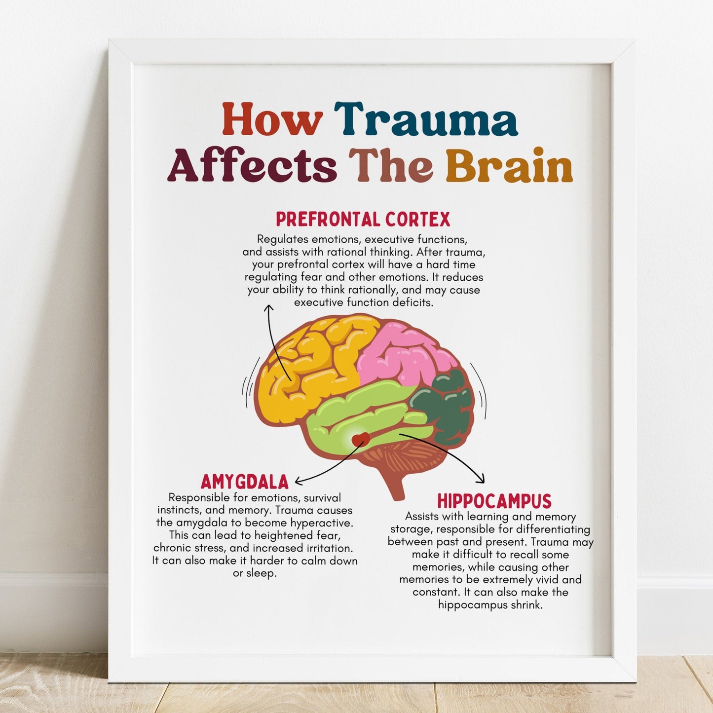 how trauma affects the brain